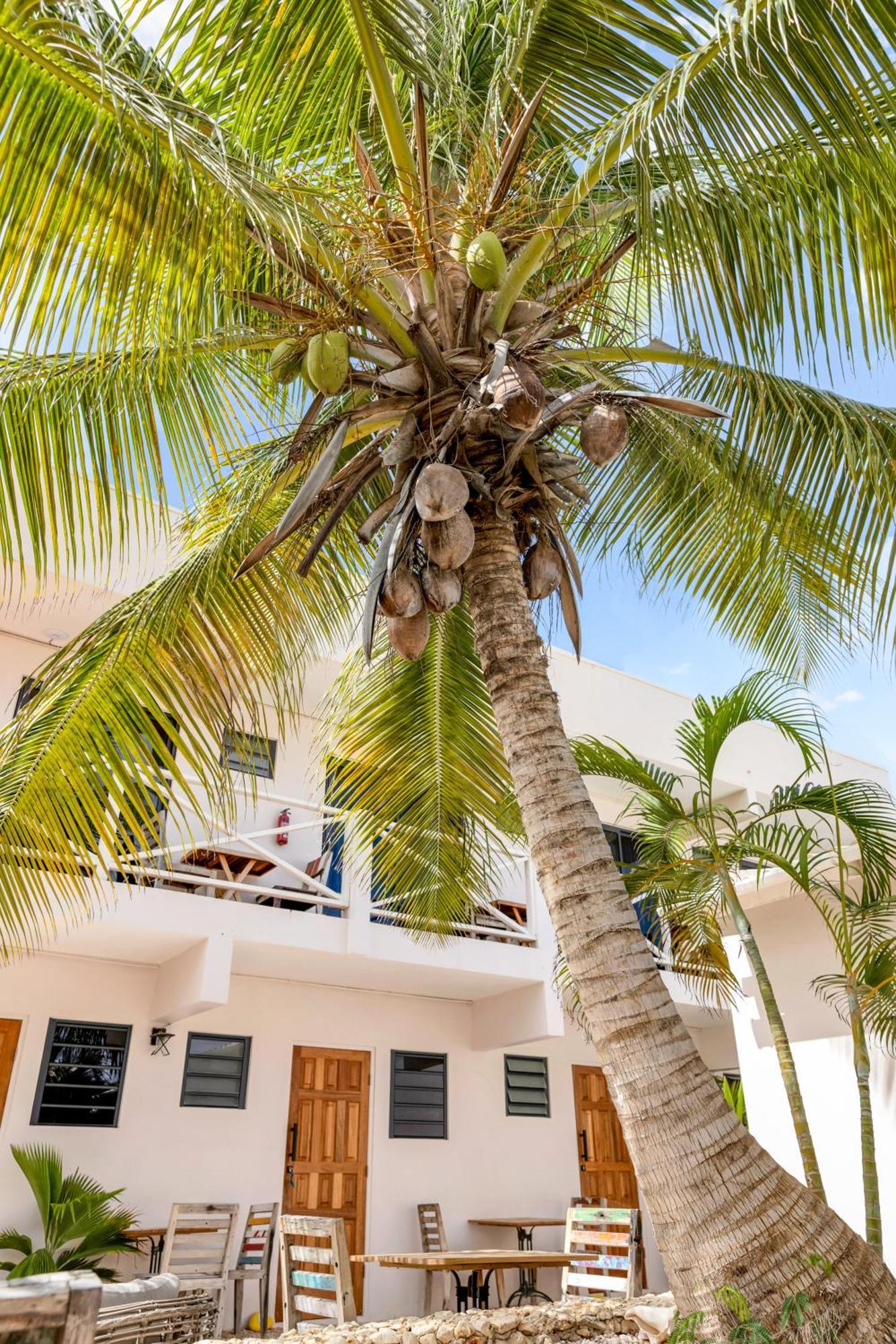 The Hut Bonaire Hotel Kralendijk  Luaran gambar